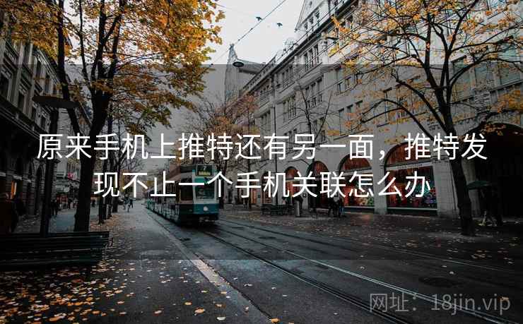 原来手机上推特还有另一面，推特发现不止一个手机关联怎么办
