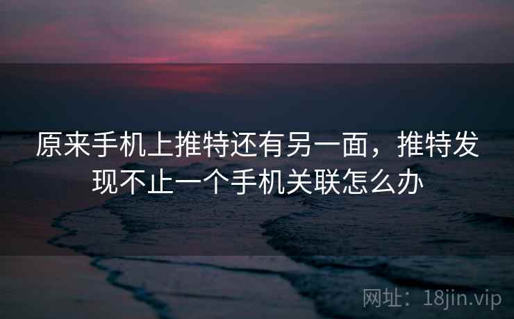 原来手机上推特还有另一面，推特发现不止一个手机关联怎么办