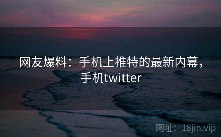 网友爆料：手机上推特的最新内幕，手机twitter