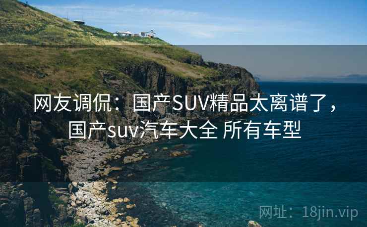 网友调侃：国产SUV精品太离谱了，国产suv汽车大全 所有车型